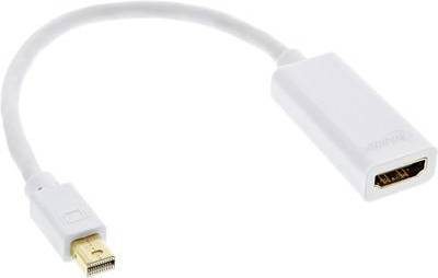 InLine Mini DisplayPort mini
