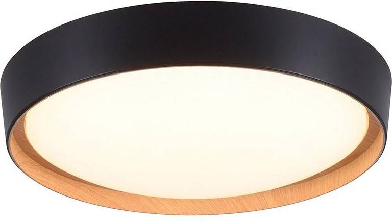 Paul Neuhaus Rural Ceiling Flush Light