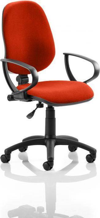 Dynamic Permanent Contact Backrest Loop Office Chair