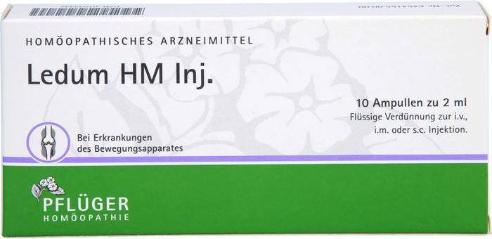 LEDUM HM Injekt Ampullen 10 St.