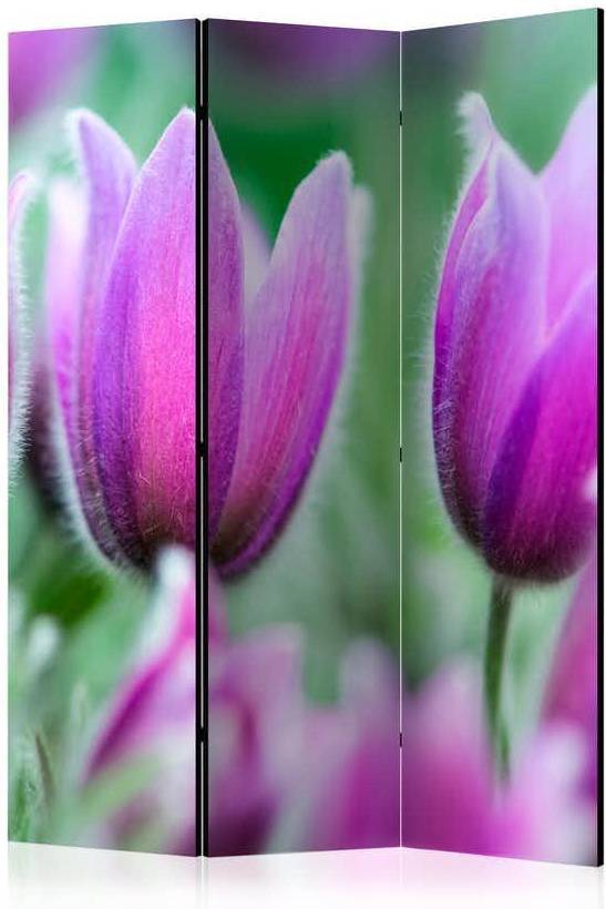 Arkiio Purple Spring Tulips Rumsavdelare