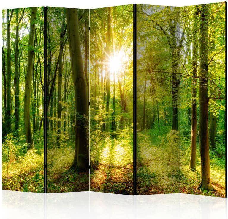 Arkiio Forest Rays II Rumsavdelare