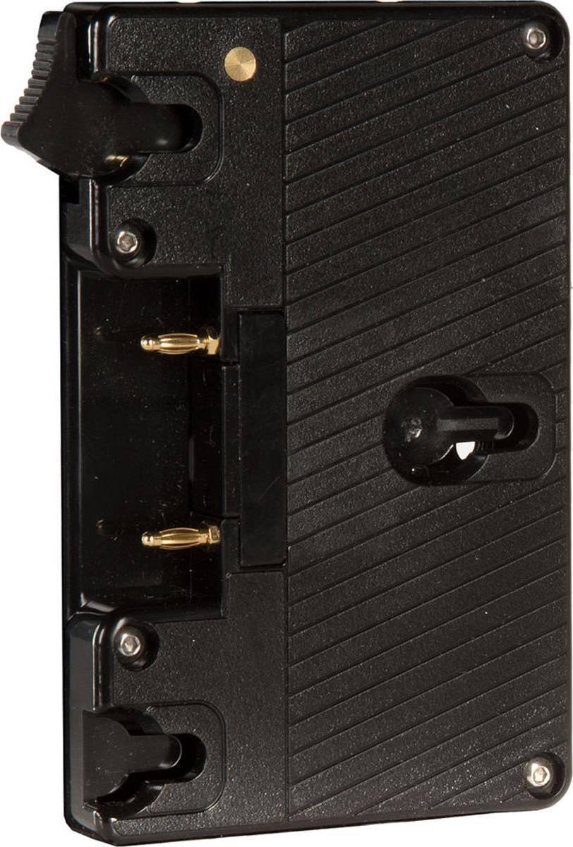 Shape Gold Mount Lock Plate