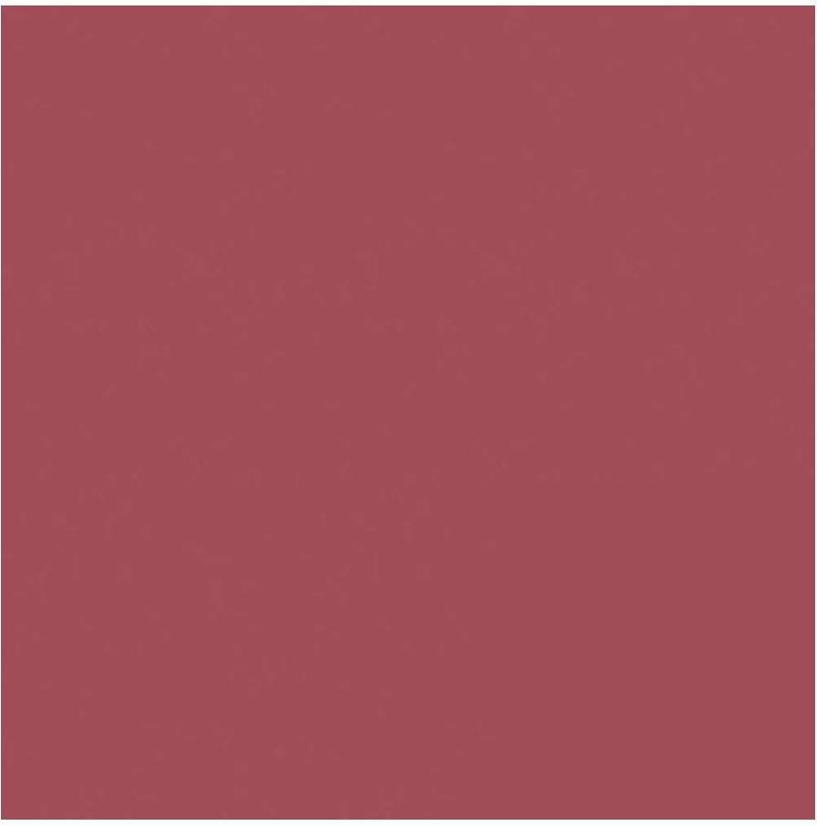 Photo N81-1.35x11 M Studio Background Rood