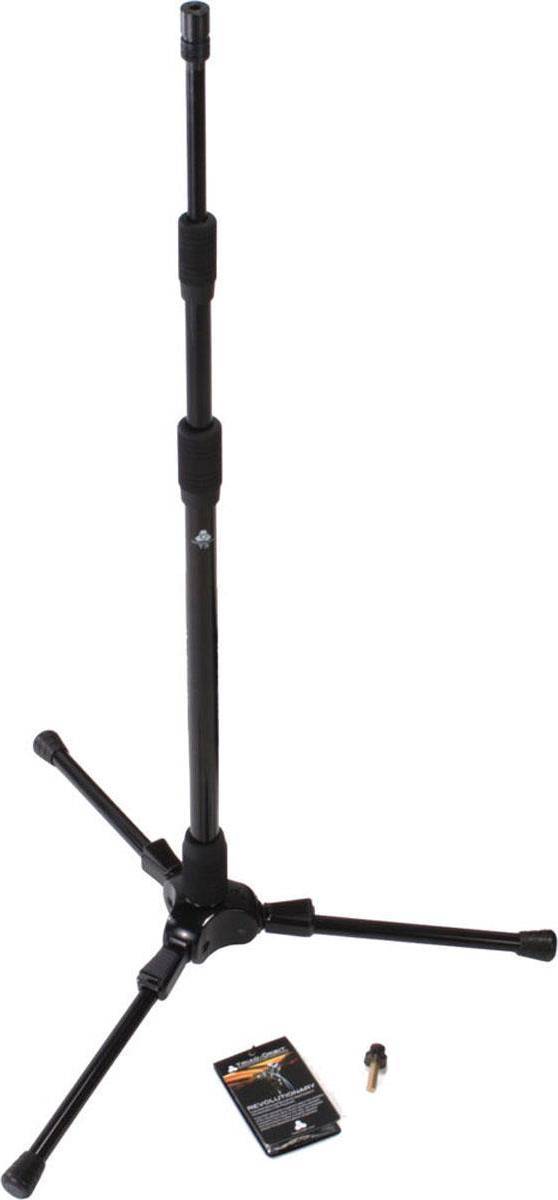 T3