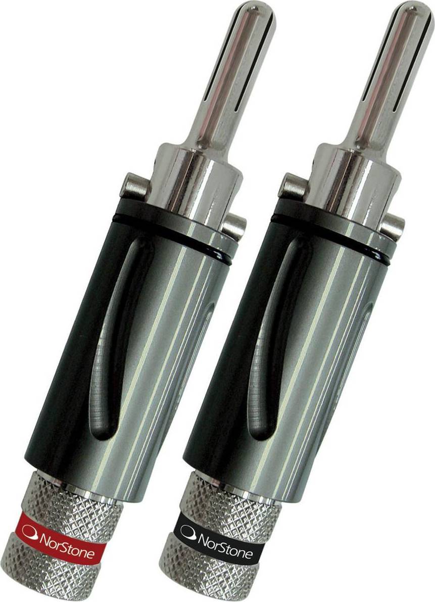 BLS 500