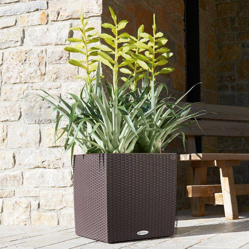 Cube Cottage 40 All-In-One Set Marrone