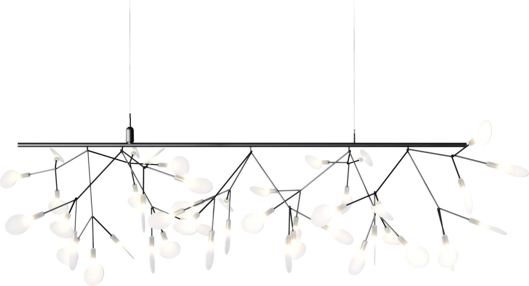 Perch Light Branch