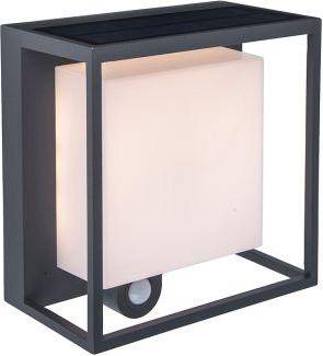 Curtis LED Solar