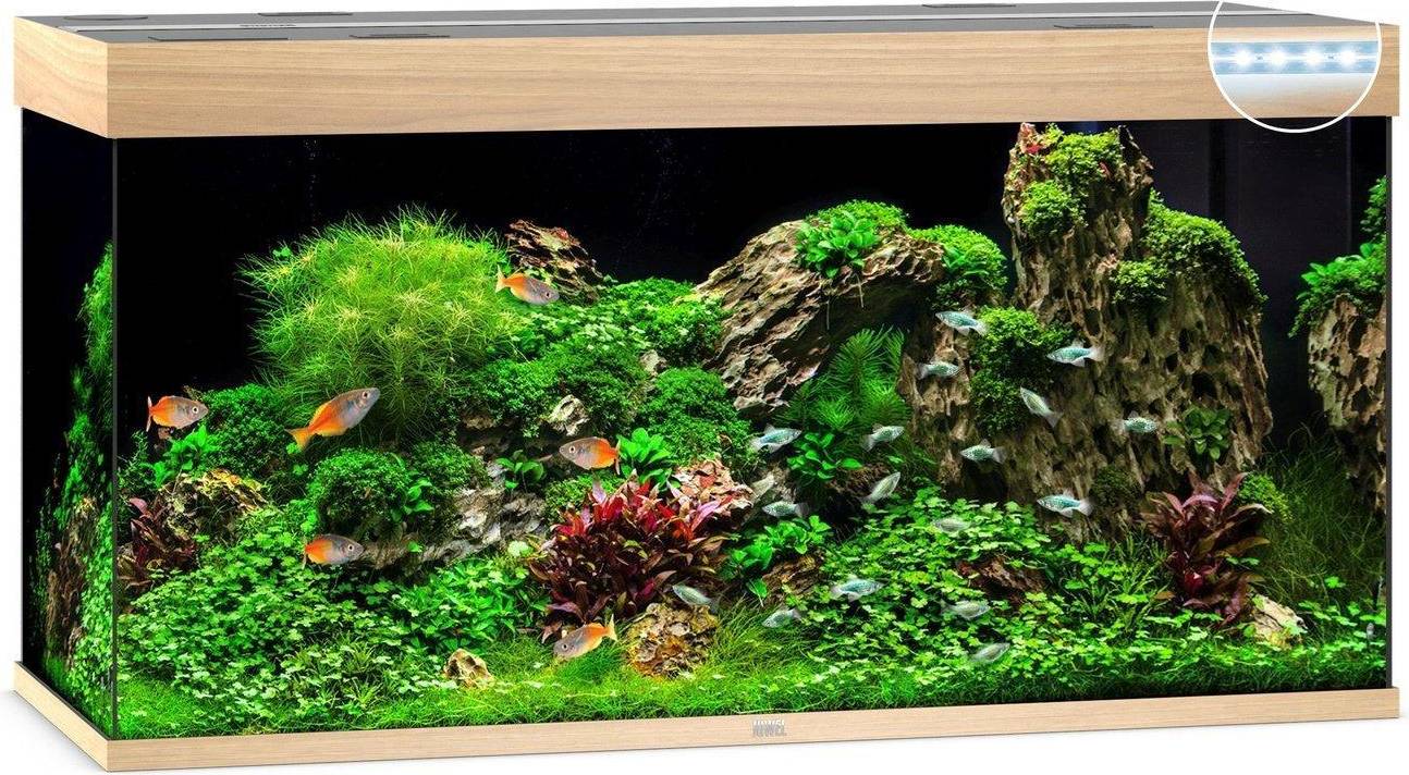 Aquarium Juwel Rio 350 helles Aquarium Set