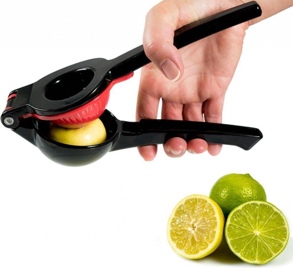 Juicepresse manuell Fuchs Squeezer Sort Rustfrit Stål Juicepress