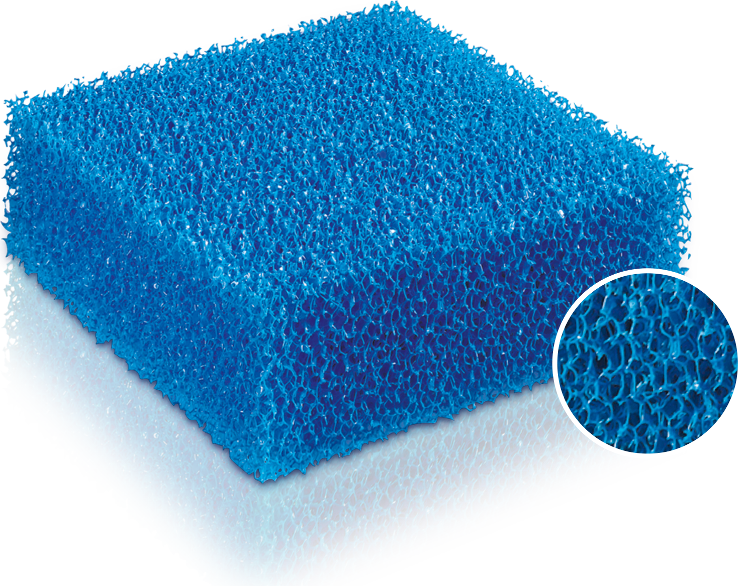 BioPlus Coarse Filter Sponge L