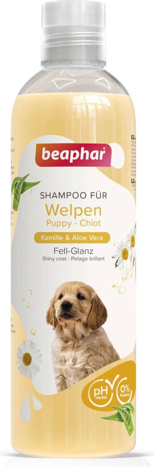 Shampoo