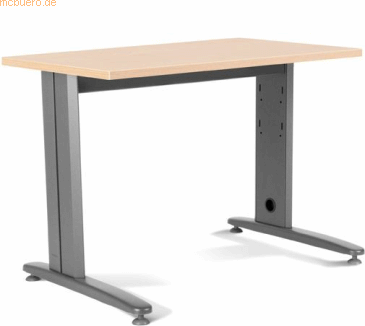 Ecotonik 480663 Roc