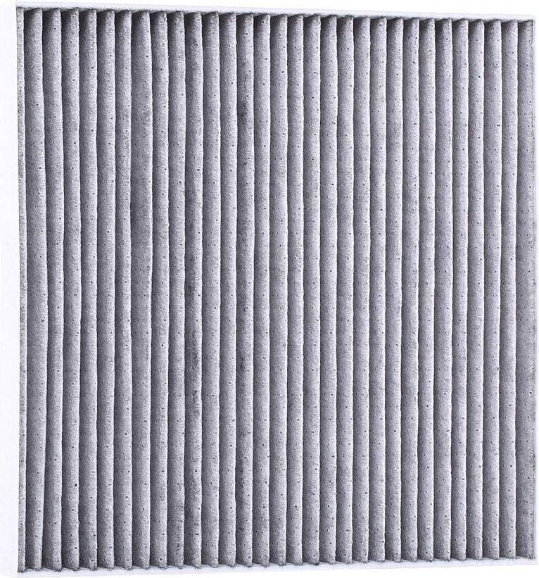 Bosch Cabin Filter R2499