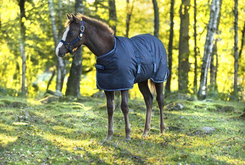 Horseware Ripstop Foal Rug 200g - Navy/Electric Blue