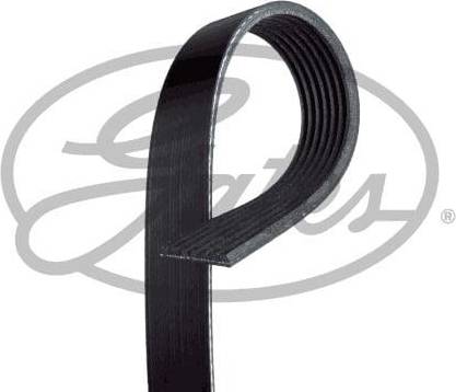 Gates 7PK1163XS Ribbed