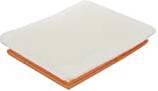 Valeo Air Filter Insert With Pre-Filter
