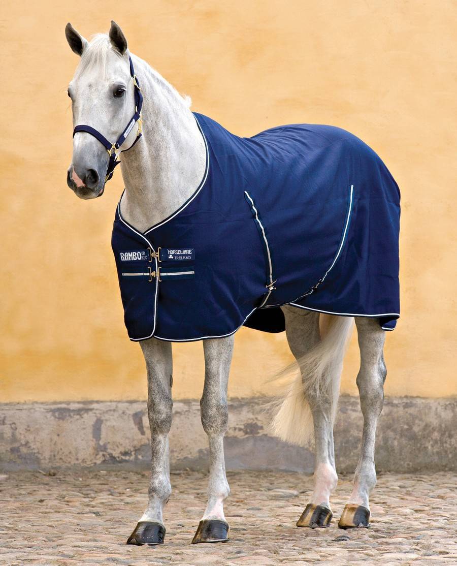 Rambo Stable Rug With Microfiber Lining - Dark Blue/White