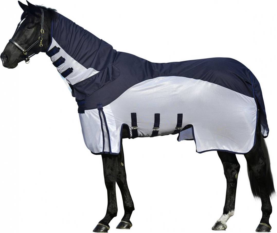 Combi Horse Rug Rain And Fly Rug With Neck
