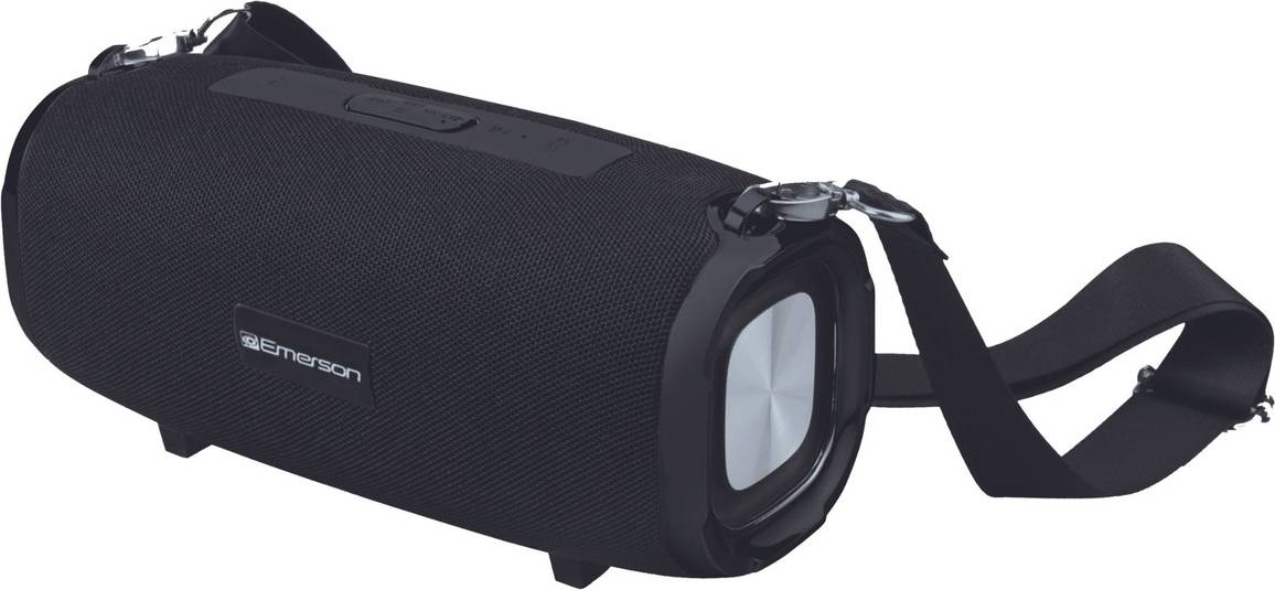 EAS-3000 Portable