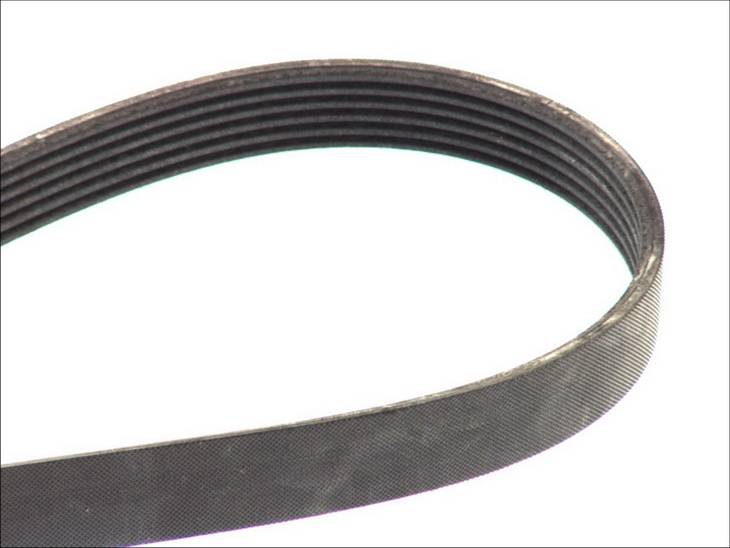 Contitech V-Ribbed Belt 6PK1029ELAST