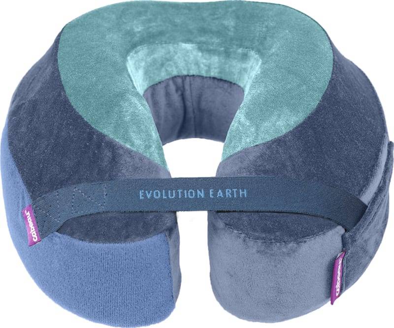 Evolution Earth