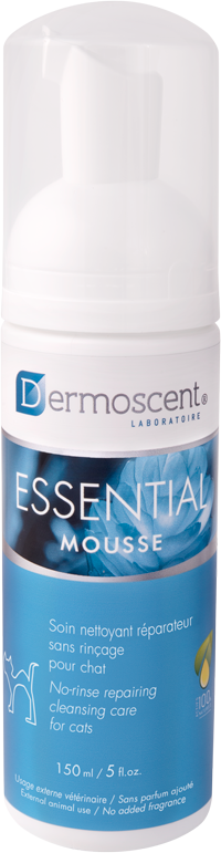 Essential mousse katzen