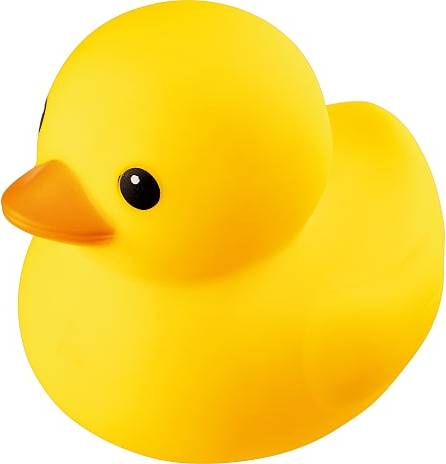 Rubber Duck