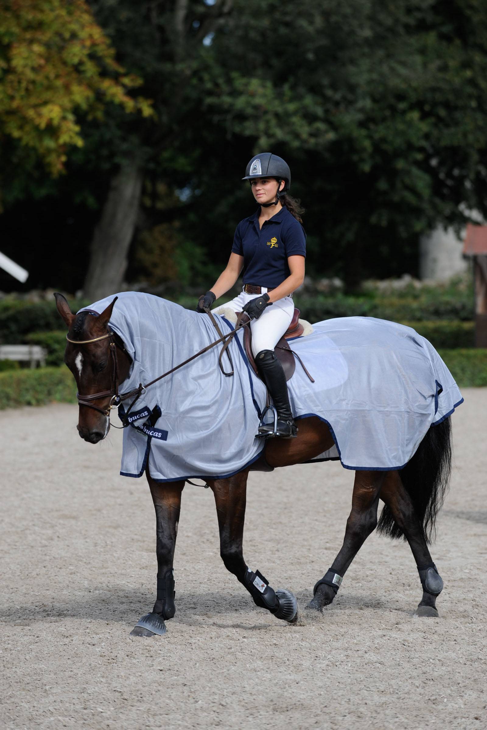 Buzz-Off Riding Argent gris