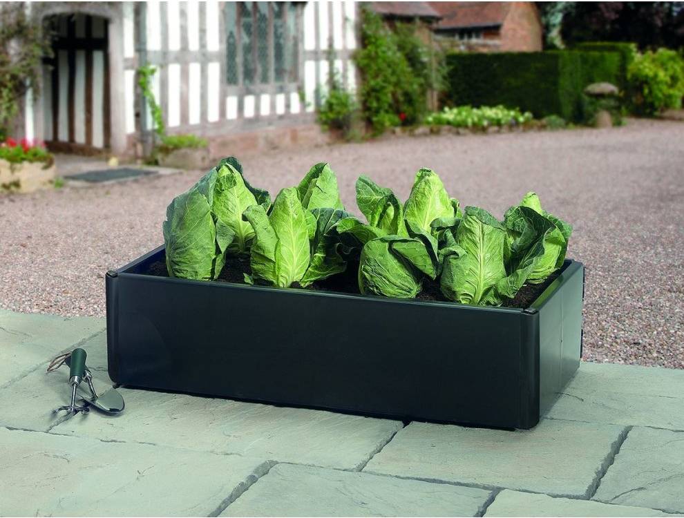 Mini Bed