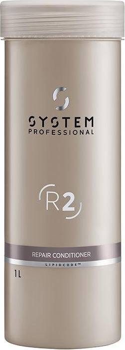 System Professional Repair Conditioner