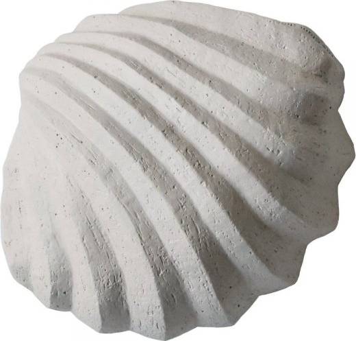 The Clam Shell