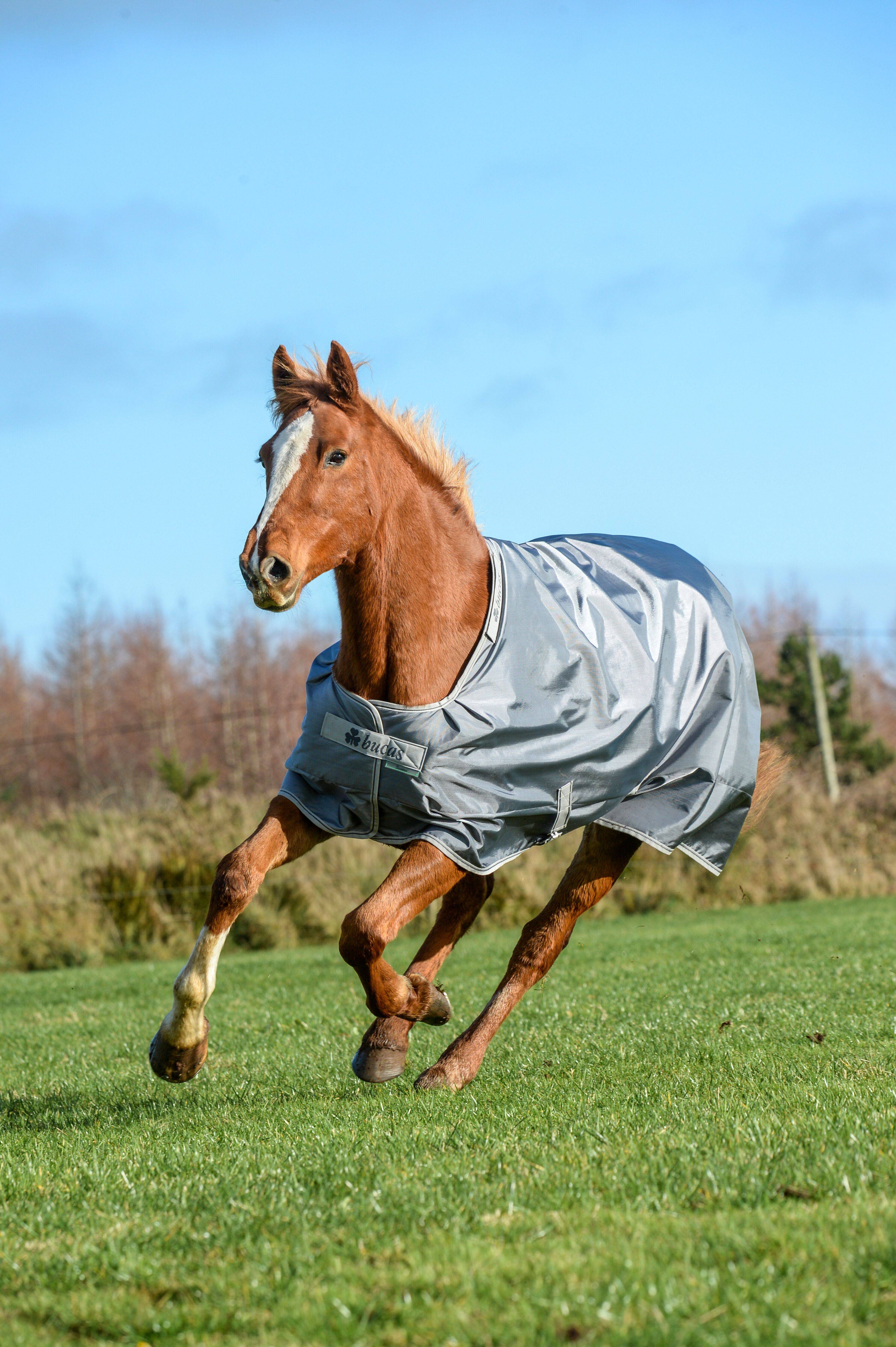 Bucas Smartex Rain Turnout Rug - Iron Grey