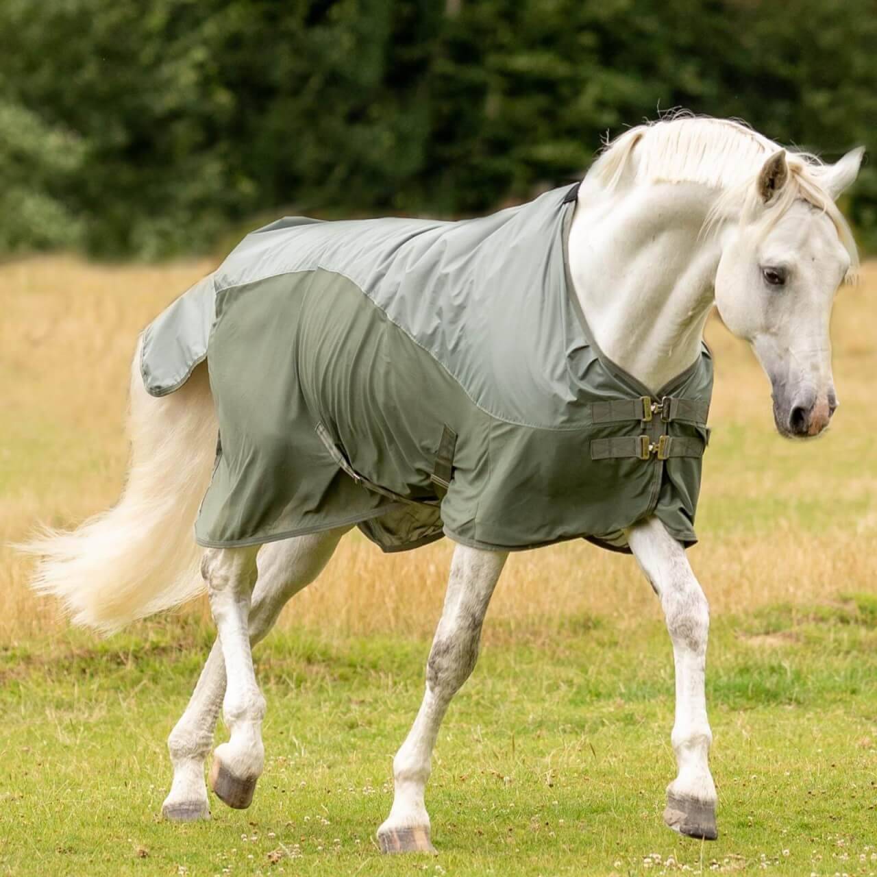 Fly Rug Rainfly Light Olive