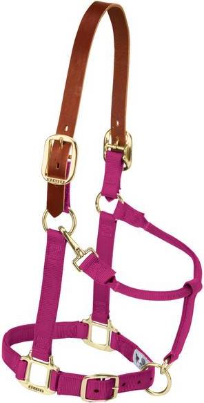 Weaver Leather Nylon Adjustable Breakaway Horse Halter - Raspberry