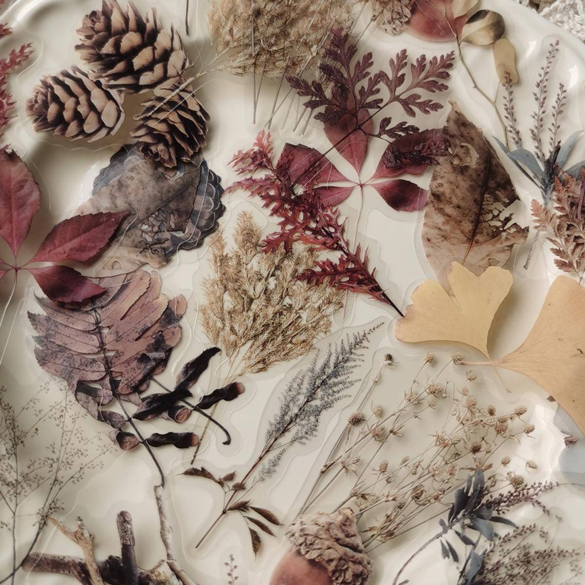 Shein 40pcs Plant Pattern Sticker, Creative Multi-purpose Decorative Sticker For Hand Account Decoration