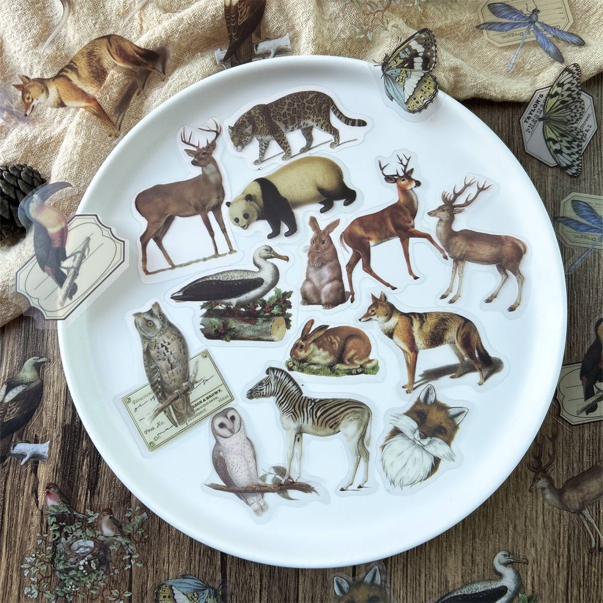Shein 40pcs Animal Pattern Sticker, Vintage DIY Sticker For Students