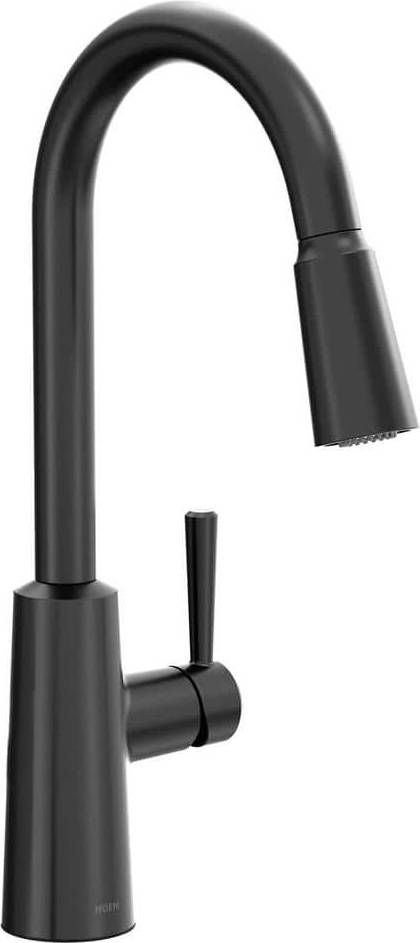 Moen Riley Matt Black