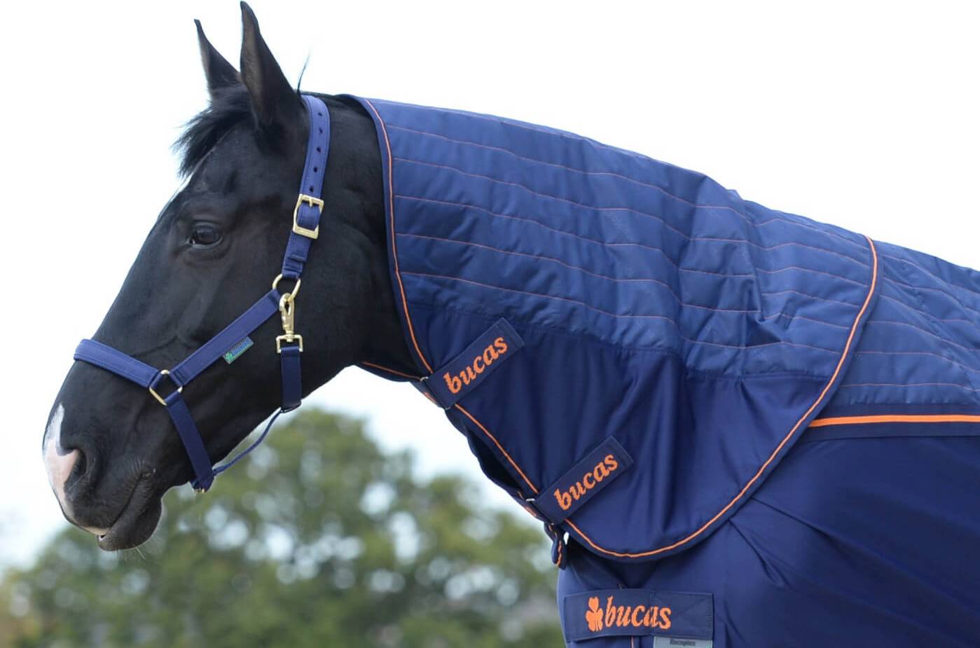 Bucas Neck Rug Therapy Bleu
