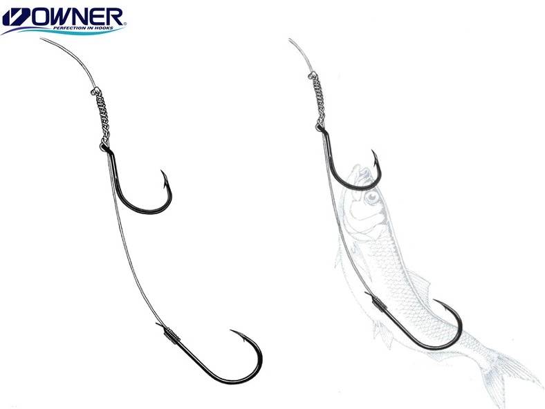 Owner Boa Rig Single Str 6
