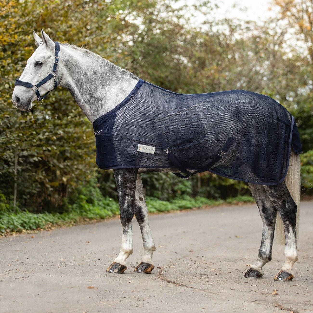 Waldhausen Comfort Fly Rug
