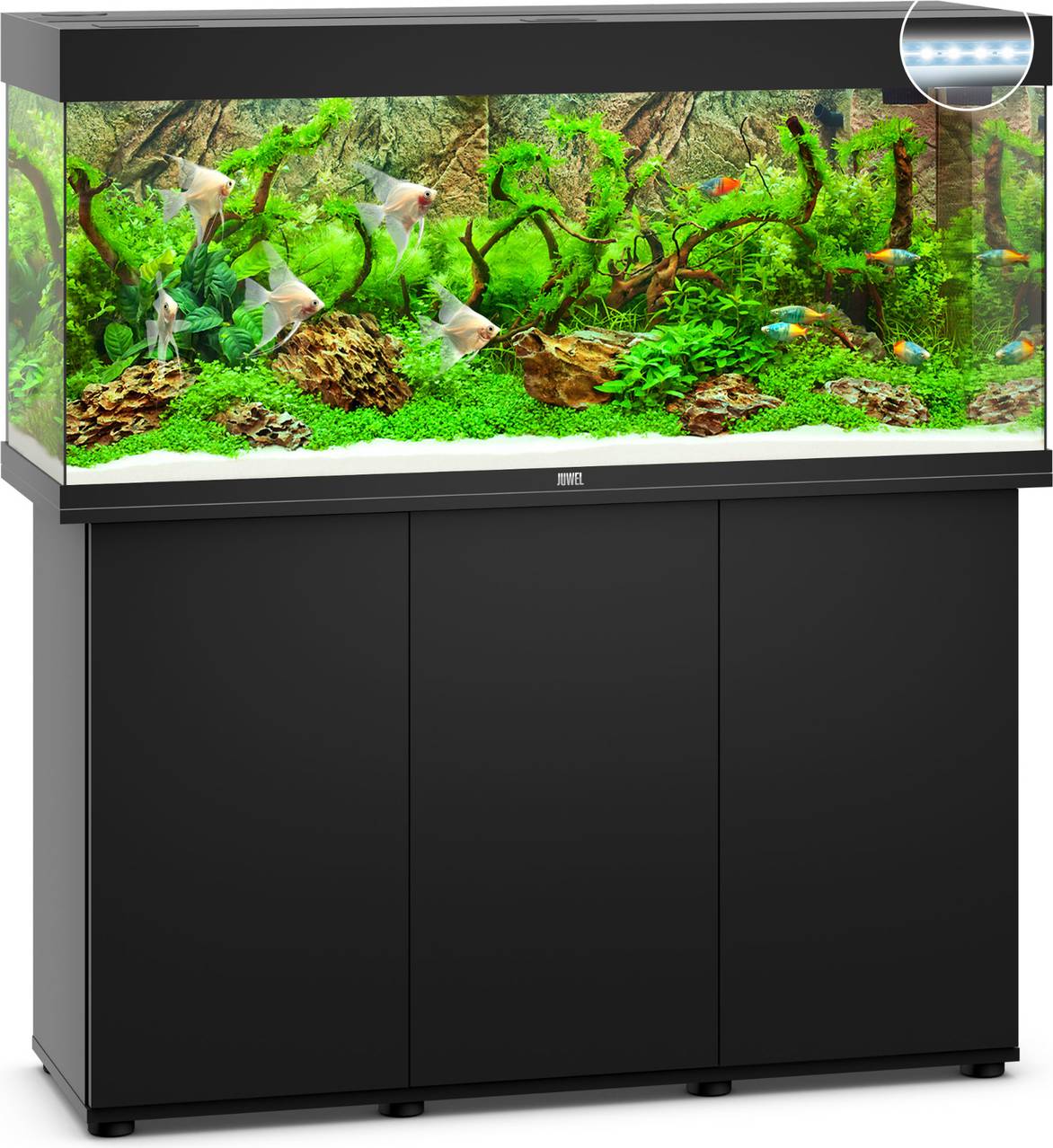 Juwel rio Juwel Rio 240