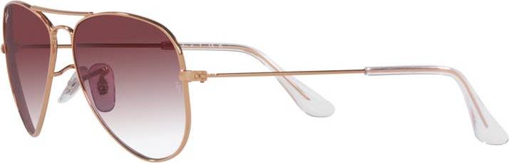 Ray ban Ray-Ban RJ9506S 291/8H