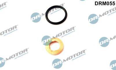DRM055 Injector Gasket Kit Audi