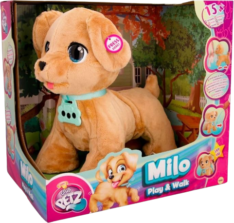 Milo Play & Walk