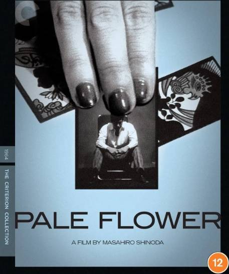 Criterion collection Pale Flower The Criterion Collection