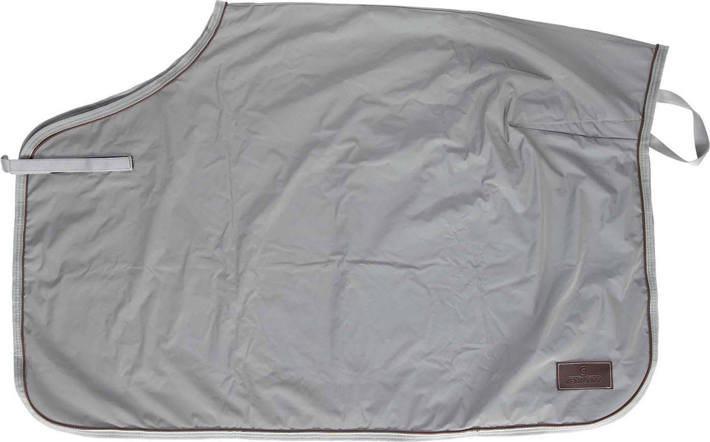 Kentucky Quarter Rug Reflective