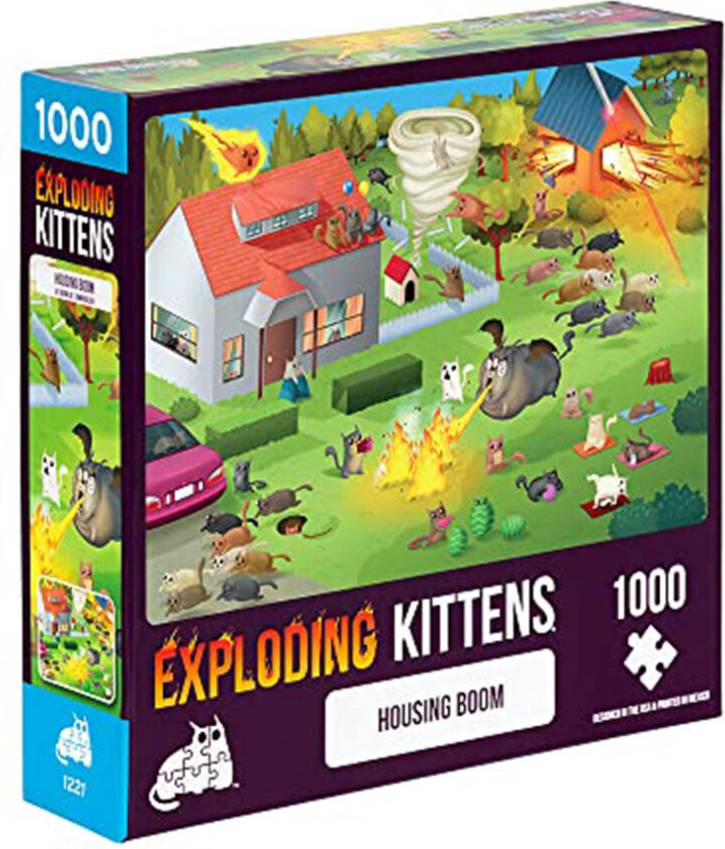 Exploding Kittens Housing Boom 1000