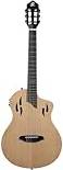 Ortega Rtpstd Nylon-String Acoustic-Electric Guitar Natural